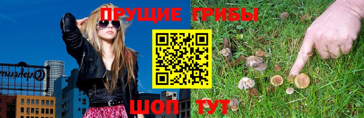 Галлюциногенные грибы ЛСД  Псилоцибиновые грибы Magic Shrooms  Сарапул  Вход с VPN 